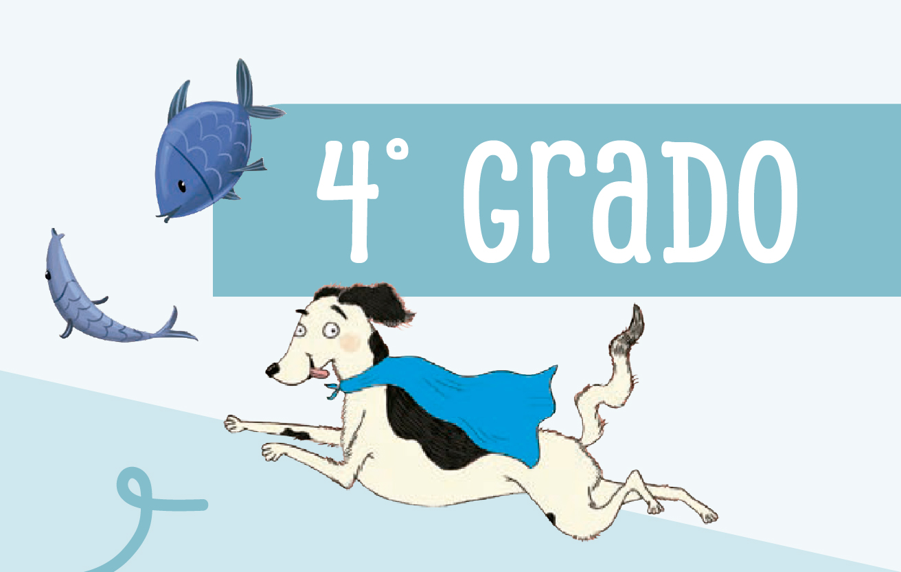 4 Grado